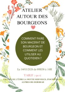 Autour des bourgeons
